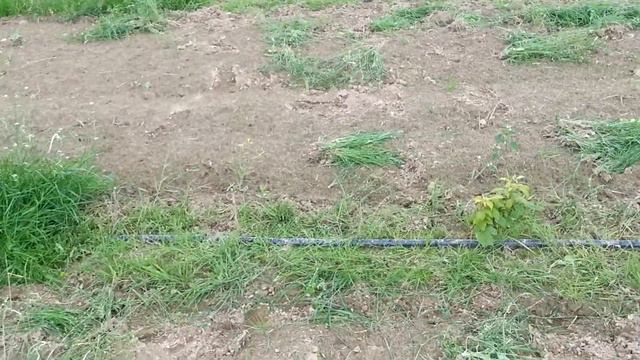 Процент выпада на посадках ОКС апрель 2017. смотреть онлайн