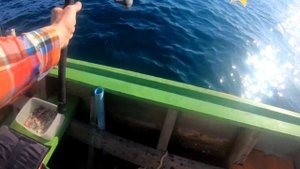 Морская рыбалка на Пхукете / Deep sea fishing in Phuket