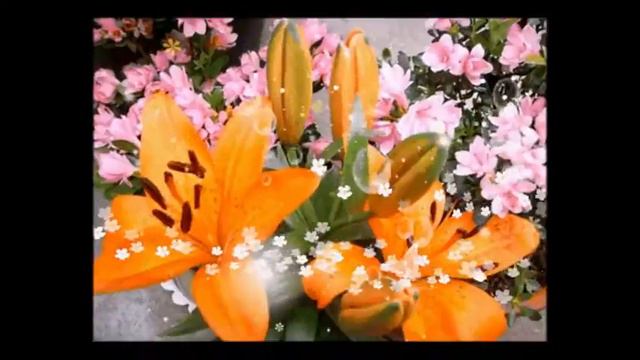 НЕ УХОДИ, смотреть онлайн