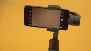 Монопод InterStep для смартфона c 3 axis стабилизацией