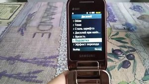 Обзор телефона Samsung C3592