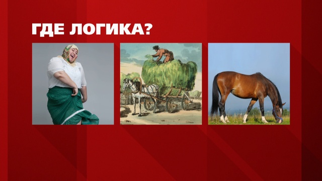 Конкурс где логика с ответами