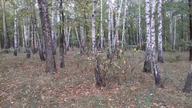 Нельзя пить воду из бойлера ! "Марафон здоровья и разговорный марафон" день 5. смотреть онлайн