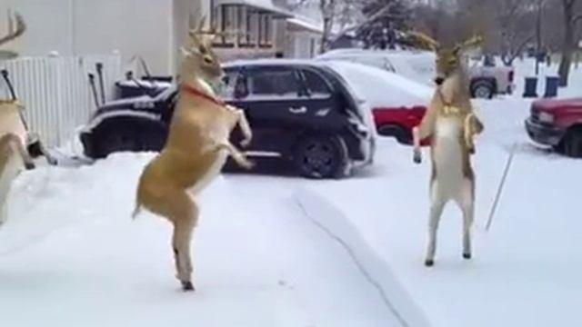 16 февраля 2016 г. смотреть онлайн