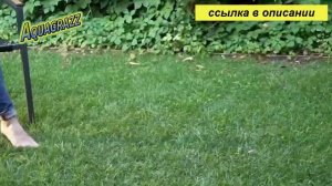 как правильно сажать траву на газоне