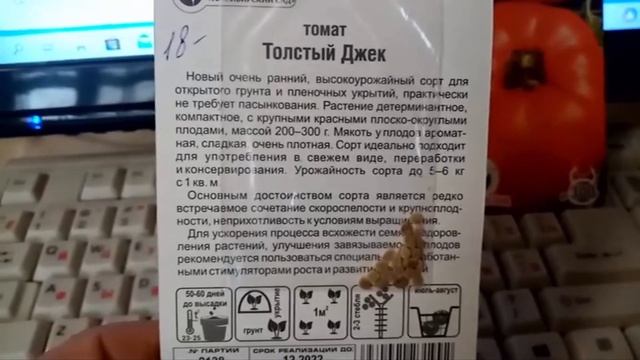 Томат "ТОЛСТЫЙ ДЖЕК". Очень СЛАДКИЙ. Буду Выращивать в 2021г. Мои ЛЮБИМЫЕ Сорта. 23 декабря 2020г. смотреть онлайн