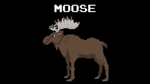 Arctic Animals - The Kids' Picture Show