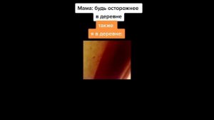 чистим чистим вместе с ноликом / тик ток подборка мемов