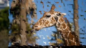 Песенка про жирафа