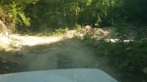 На ниве на море