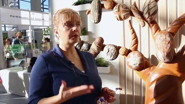 Работодатели ждут выпускников НГСХА   акул аграрного бизнеса!.mp4
