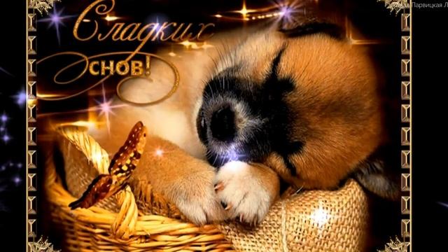 Спокойной ночи! Сладких снов смотреть онлайн