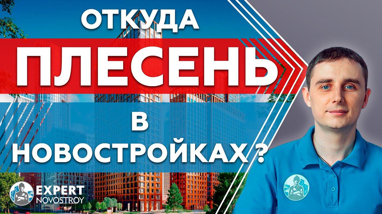 3 главные причины появления плесени в новостройках! Плесень при приемке квартир в новостройках