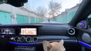 ПРОДОЛЖЕНИЕ ДЕКСТЕРА / ПРАНК СЖЁГ ЛИ МАШИНУ ЛЁХА?! / ДЕКСТЕР В ШОКЕ