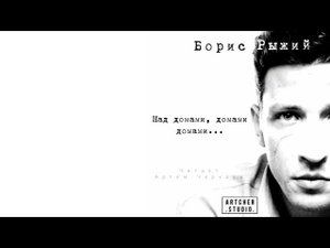 Над домами, домами, домами... Борис Рыжий