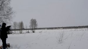 Сайга 12К Пострелушки (сборка)