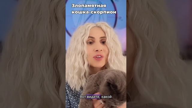 Знаки зодиака #астрология #гороскоп #МилаТантави #шортс #shorts