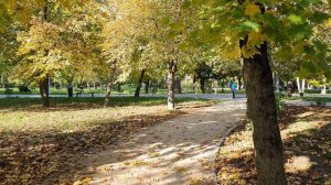 Осенняя прогулка в Приморском парке (STEREO)