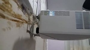 Уменьшаем шум проектора ThundeaL