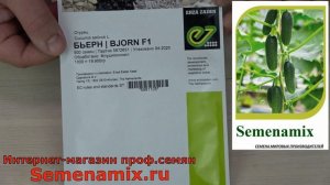 12 Лучших гибридов огурцов 2021г