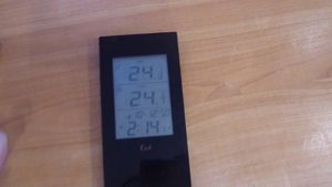 Термометр Ea2 BL501