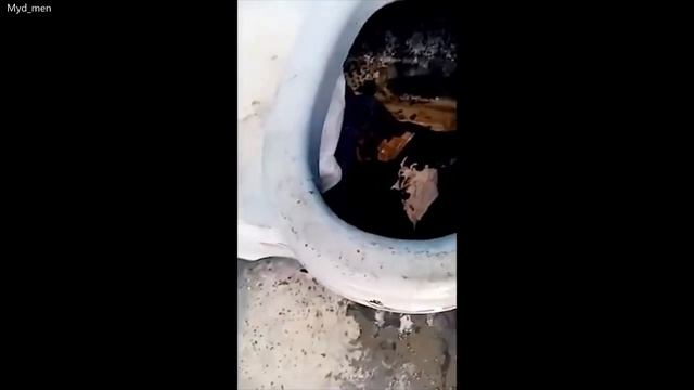 чел провалился в толчёк +100500 смотреть онлайн