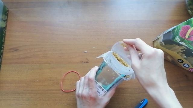 ЛИЧИНКИ И ГУСЕНИЦЫ ИЗ ПАНТЕРИКА!!! | Криворукая распаковка смотреть онлайн