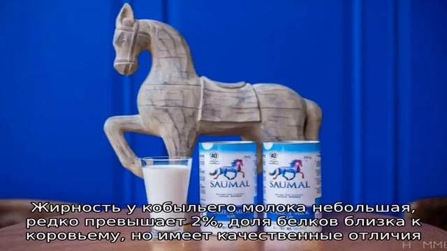 Особенности получения и использования кобыльего молока