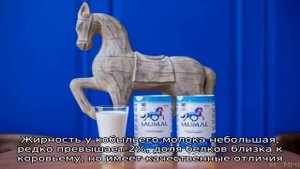 Особенности получения и использования кобыльего молока