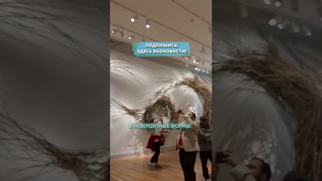 СОЗДАЕТ СКУЛЬПТУРЫ ИЗ СТАРЫХ СТЕБЛЕЙ