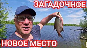 Разведка Нового Места. Рыбалка с Ночевкой