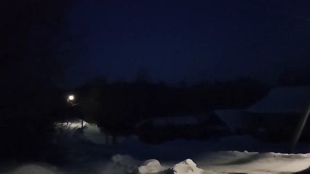 Ночь луна собака и зима