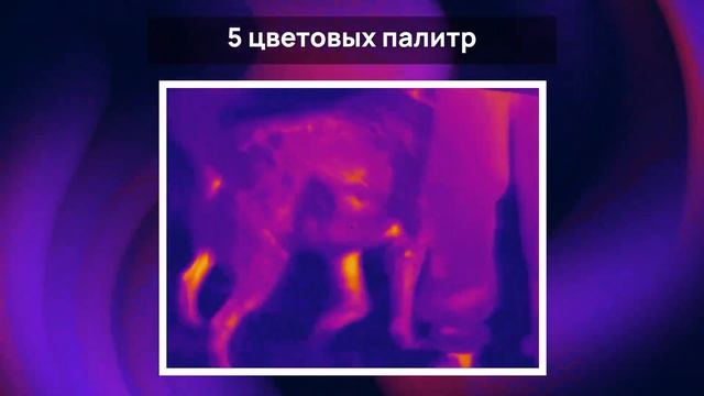 Обзор на тепловизионный прицел iRay Geni GL 50. Комплектация, управление, изображение.