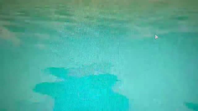 Роблокс история про русалку адопт ми. смотреть онлайн