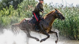 Кубанская казачка   ОЙ  хмэлю, мий хмэлю