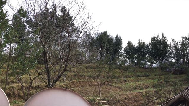 Дом в пригороде Батуми #8875