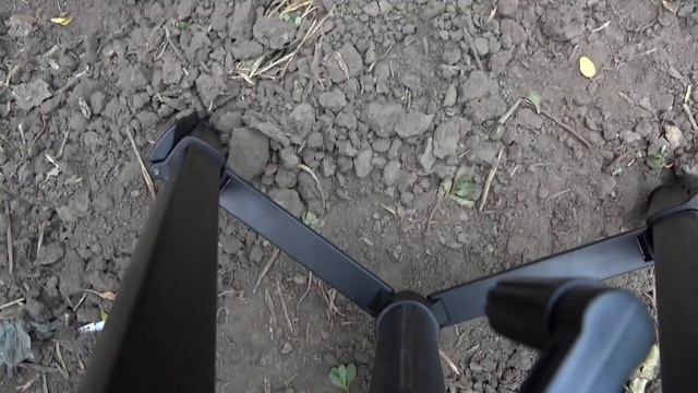 ГФ винограда Огненный - Бананас - Заморские Ребята 2019 смотреть онлайн