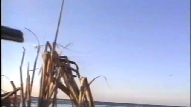 Охота с подсадными на перелетах. Днепровский лиман смотреть онлайн