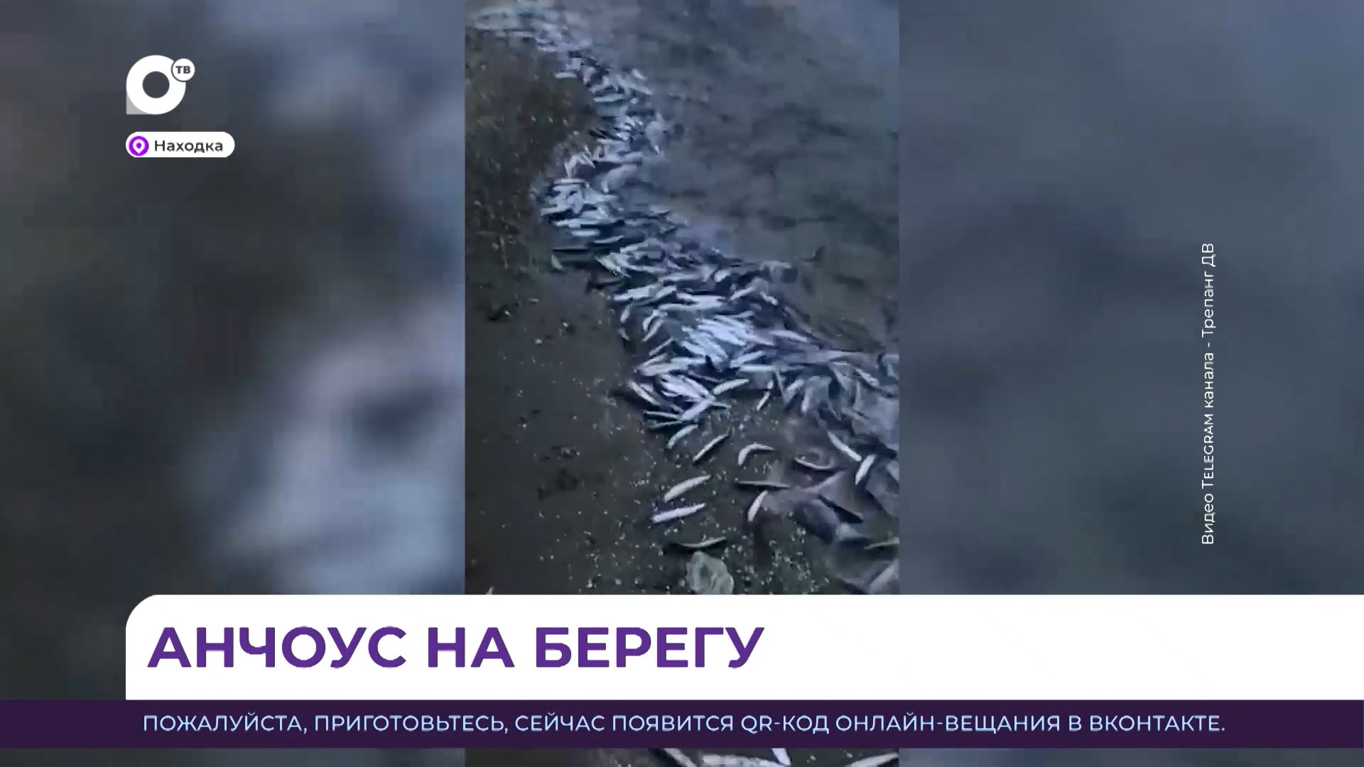 Рица находка пляж