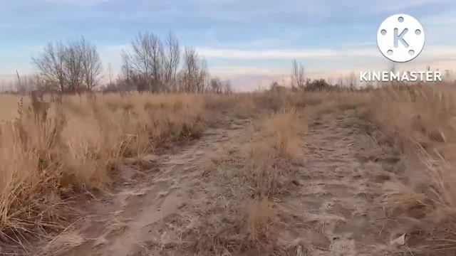 Пошла ничего не нашла. На Джарлу  заглянула. 20  октября 2022 г. смотреть онлайн