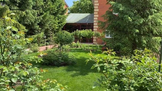 РОЗЫ ? МНЕ, КАК БЛОГЕРУ БОЛЬНО СМОТРЕТЬ НА ВАШИ РОЗЫ. Я ИСПЫТАЛА ШОК ?. смотреть онлайн