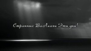 Красивый Нашид Tarek Al  Khamis Gareba vAllah hel-eyyam