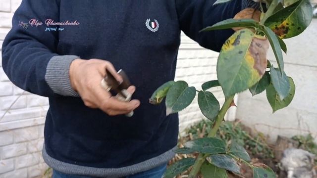 Дякуєм всім хто допомагав Валєрі і слухав Олю