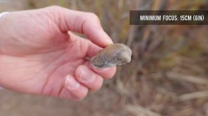 Panasonic Lumix S 20-60mm F3.5-5.6 overview