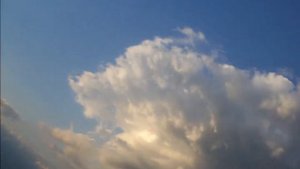 Мирного неба над головой!