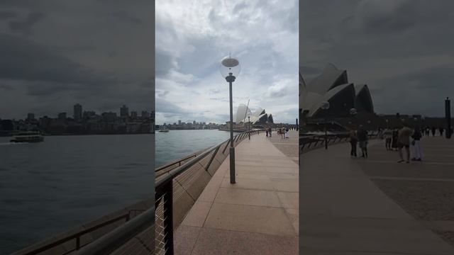 Darling Harbour Bridge & Opera House Sydney Australia #Shorts | The Beautiful Attractions OF Sydney