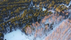 Россия. Вологодская область. Кадуйский район.