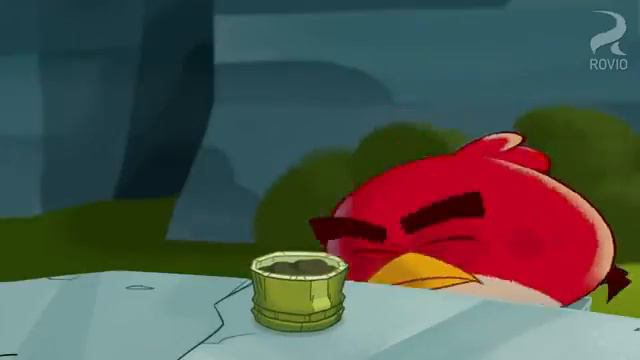 Angry birds toons corden bleagh clip смотреть онлайн