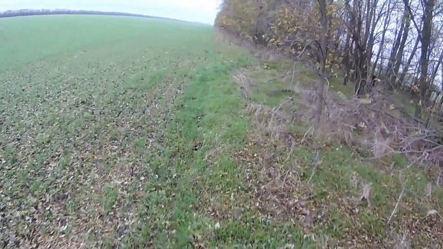 Охота на Зайца 2017. Выезд №2, Ейский район. Добыл на выходе. смотреть онлайн