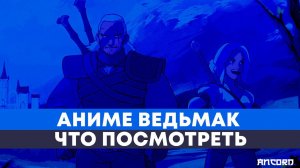 ТОП АНИМЕ ПРО ВЕДЬМАКА или типа того | АНКОРД ТОПЧИК